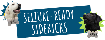 Seizure-Ready Sidekicks