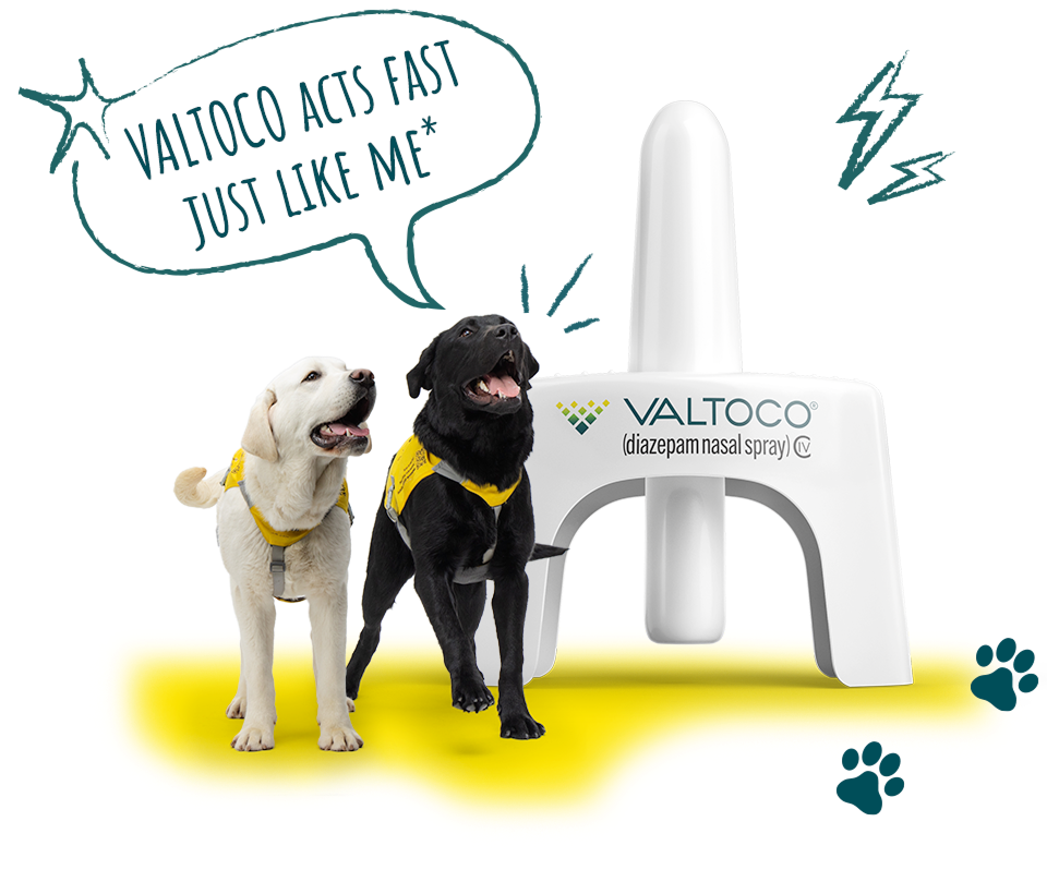 Meet Val and Toco, seizure alert dogs, and learn about VALTOCO for people with episodes of frequent seizures