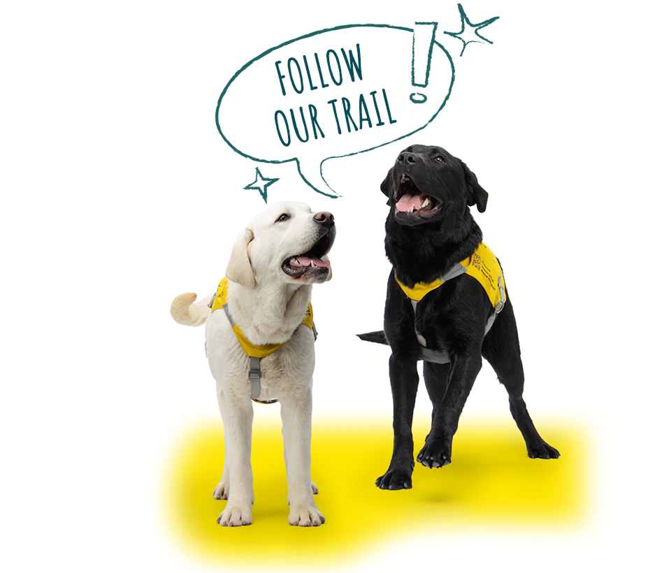 Follow Val and Toco, seizure alert dogs, to learn more about VALTOCO for people with episodes of frequent seizures