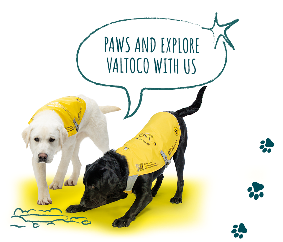 Follow Val and Toco, seizure alert dogs, to explore VALTOCO for people with episodes of frequent seizures