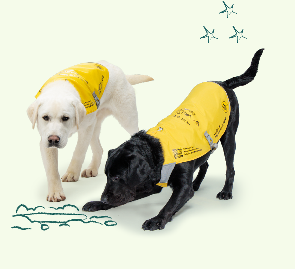 Seizure alert dogs, Val & Toco, dig up the difference with VALTOCO for people with episodes of frequent seizures