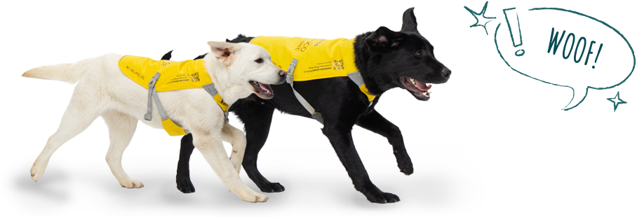 Val & Toco barking
